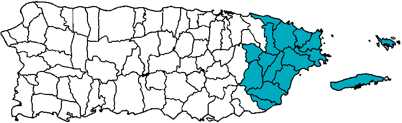 Mapa Área Este Puerto Rico